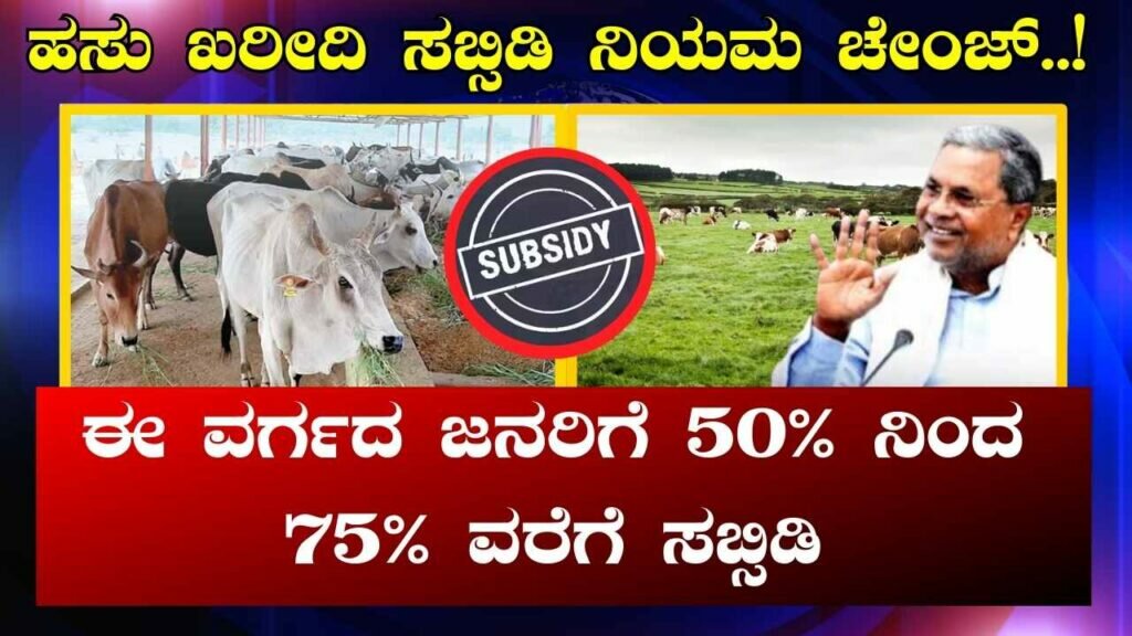 Cow Subsidy